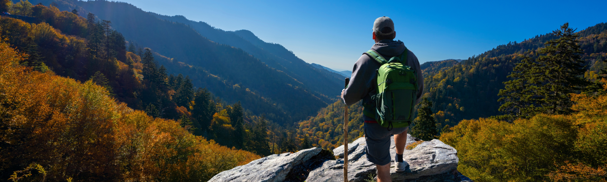 person at a scenic overlook in the smokies