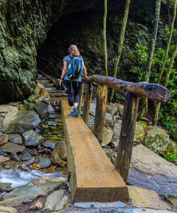 footbridge on alum cave trail