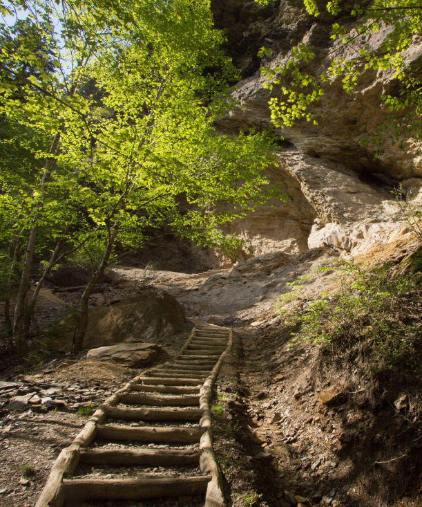 alum cave trail steps