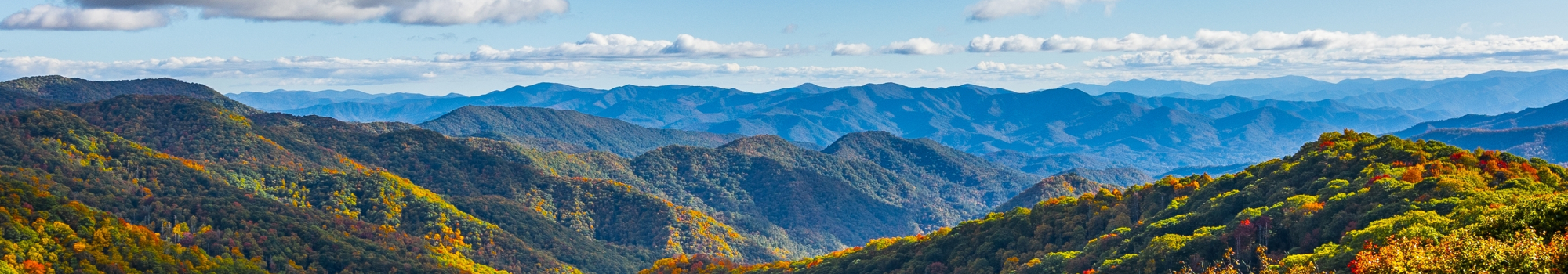 fall view in the great smoky mountains national park