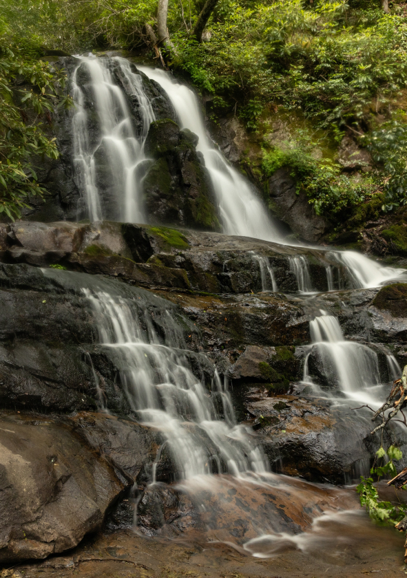 laurel falls