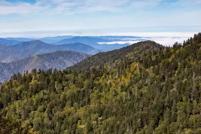 view of mountain landscape from Alum Cave Trail