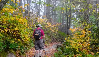 man on smoky mountain hiking trail