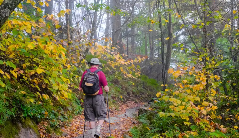 Senior,Man,Hiking,On,Appalachian,Trail,In,Smoky,Mountains,National
