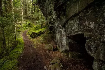 baxter creek trail