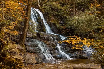 laurel falls