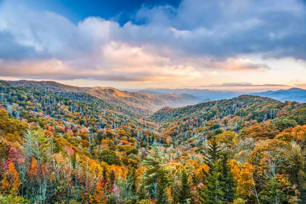 smoky mountain fall colors