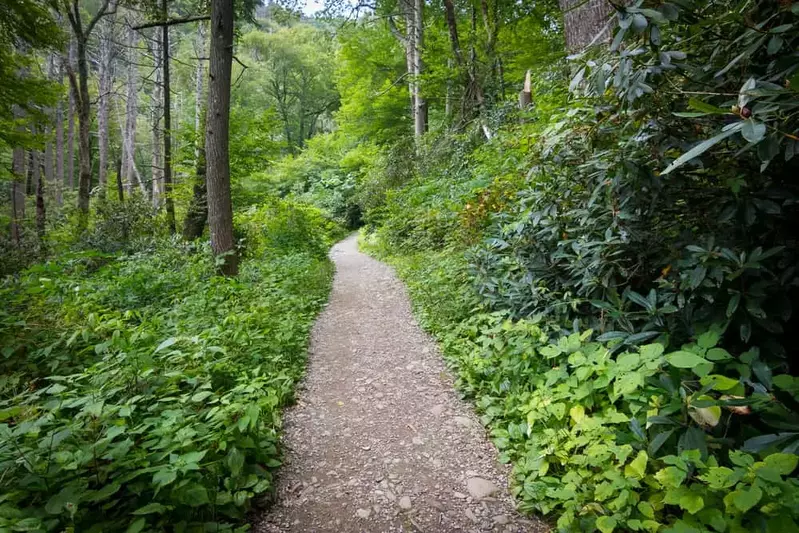 best trails in the smokies