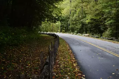 road in Townsend TN