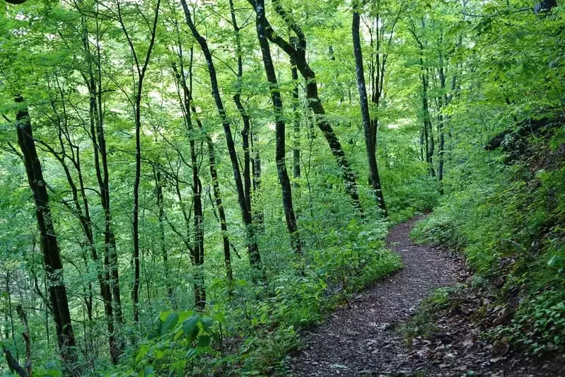 chestnut top trail in the smoky mountains