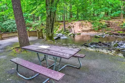 picnic area at cades cove