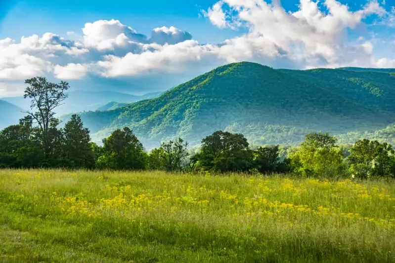 cades cove tennessee