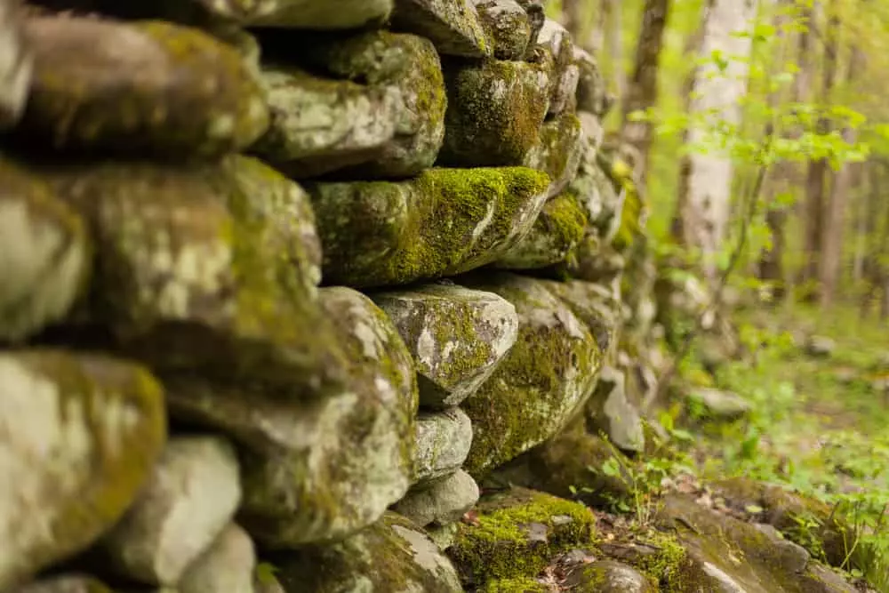 rock wall in the smoky mountains near the rock house