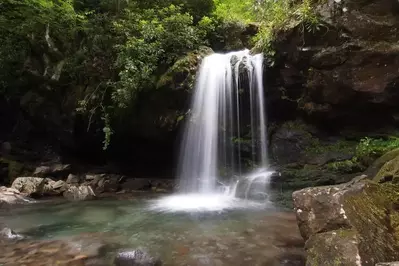 grotto falls in the great smoky mountains