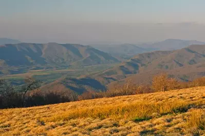 gregory bald in the smoky mountains