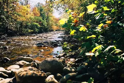 river in the great smoky mountains national park