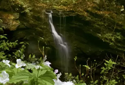 rainbow cave falls in white oak sink