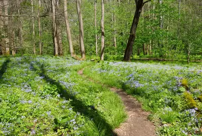 schoolhouse gap trail