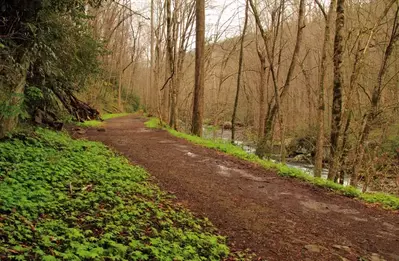 Little River Trail beside Little River