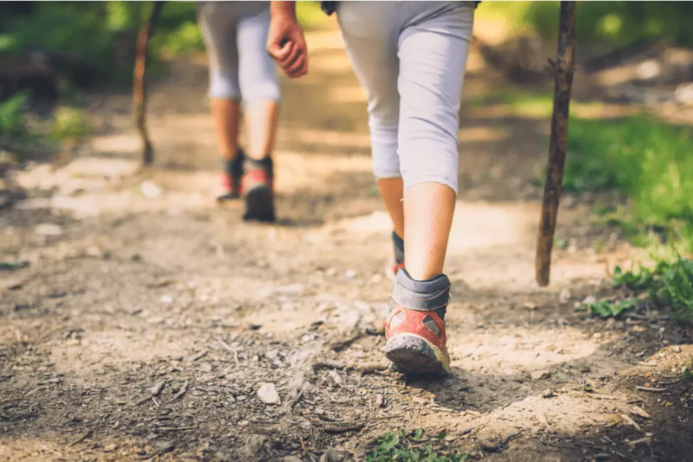 Pair of Hikers