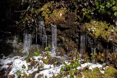 Alum Cave Trail 