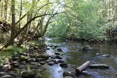 gatlinburg trail creek