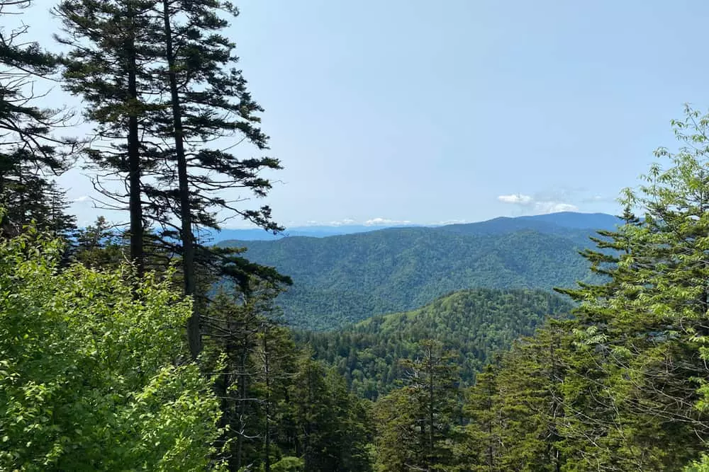 LeConte