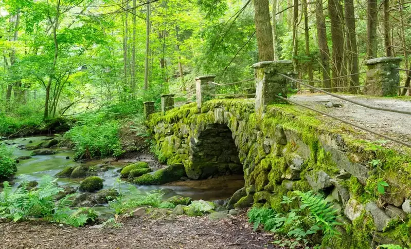 elkmont troll bridge