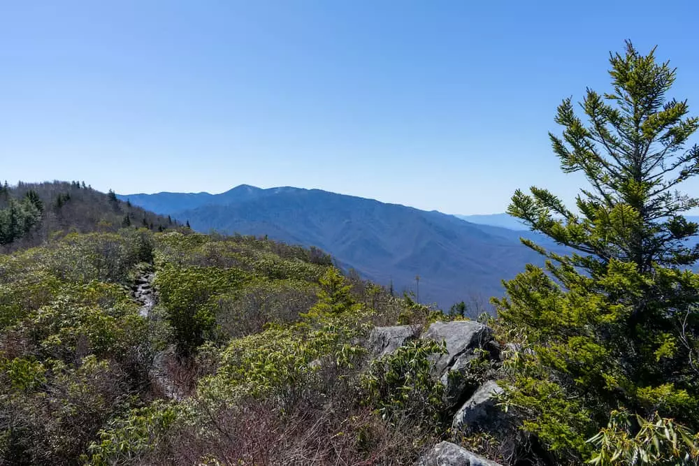 Mt. Cammerer Trail