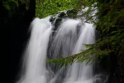 Low Gap Trail