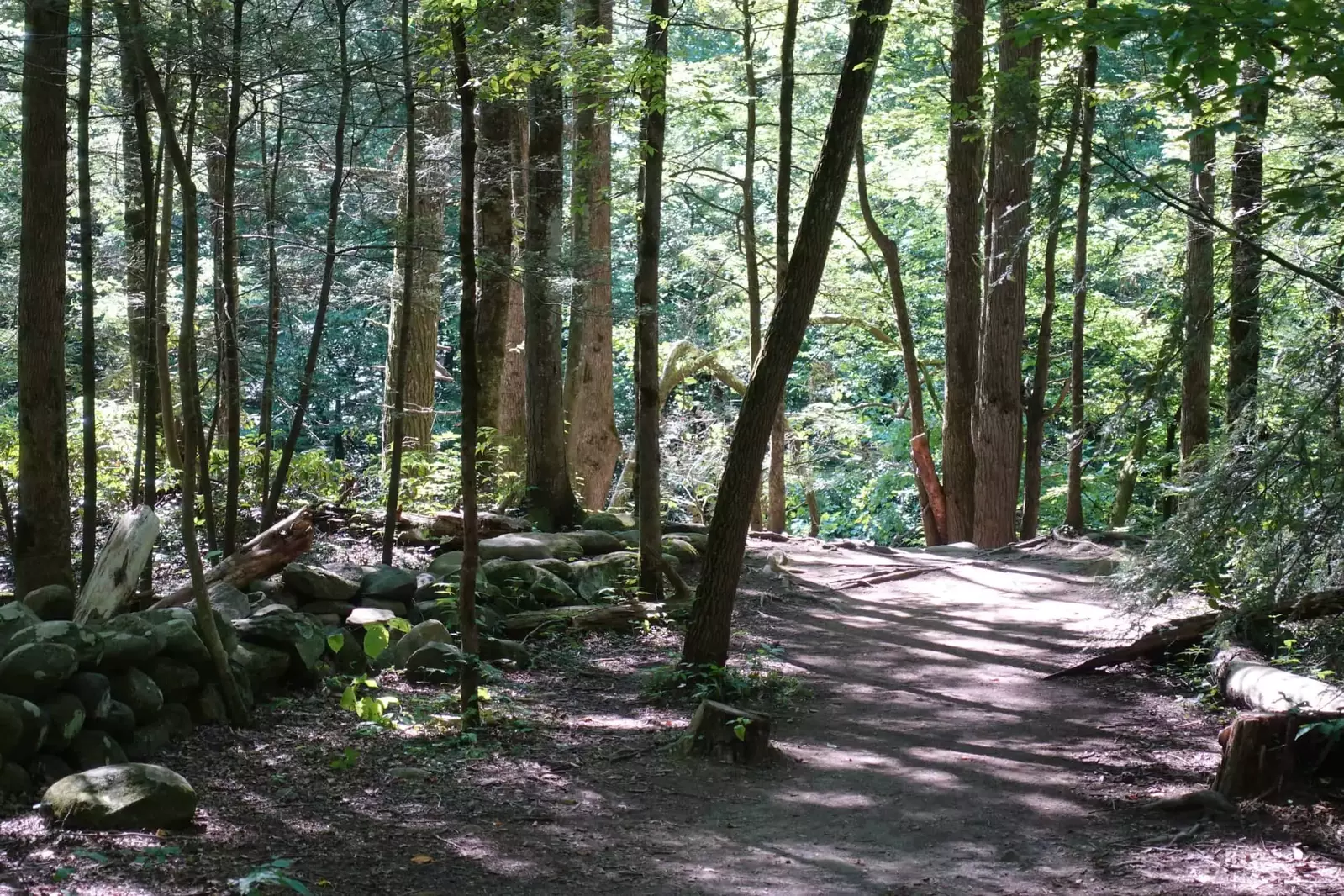 Gatlinburg trail