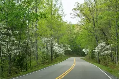 foothills parking in the smoky mountains