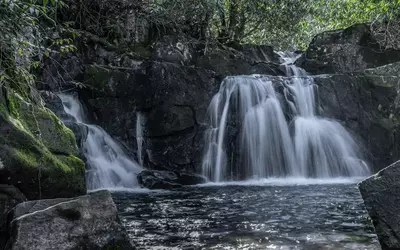 Middle Prong Trail in the Smoky Mountains