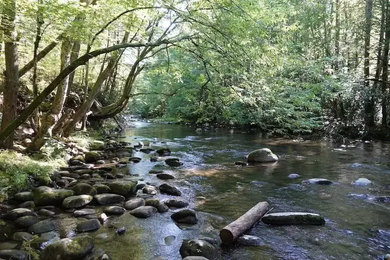 Gatlinburg Trail in the Smoky Mountains