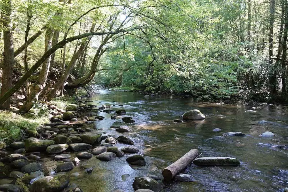 Gatlinburg Trail in the Smoky Mountains