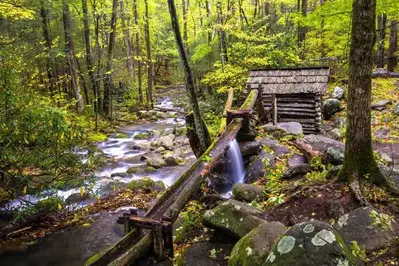 mill on a creek in the smoky mountains