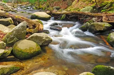 smoky mountain creek