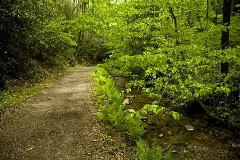 schoolhouse gap trail in the great smoky mountains