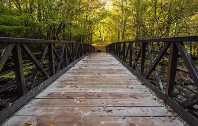 The Bridge along the Gatlinburg Trail