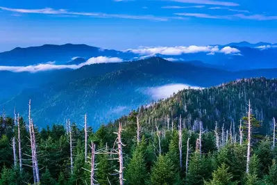 The mountain view from clingmans dome