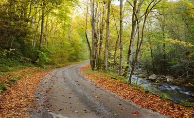 Tremont in the Smoky Mountains