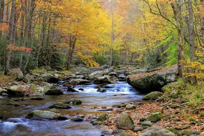 river in elkmont