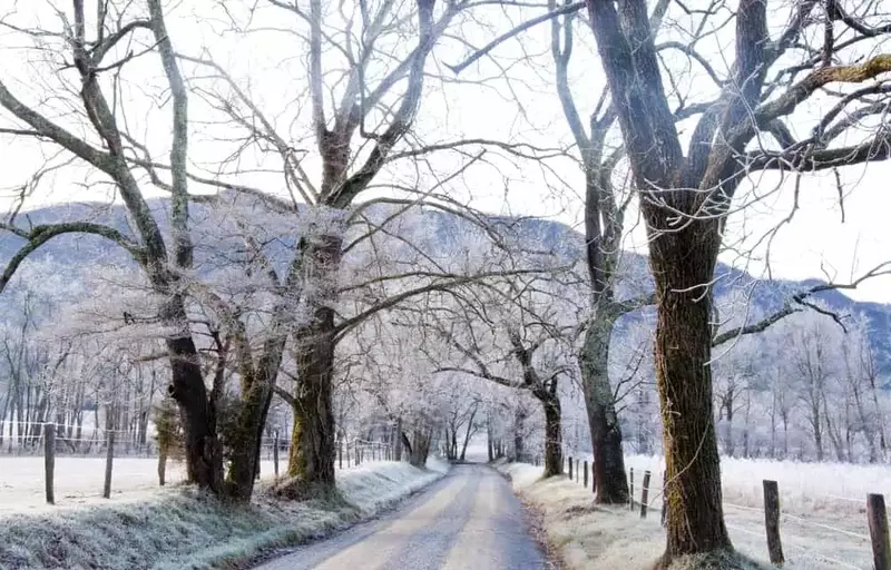 Cades cove frost