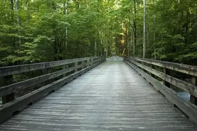 bridge in greenbrier in the smoky mountains