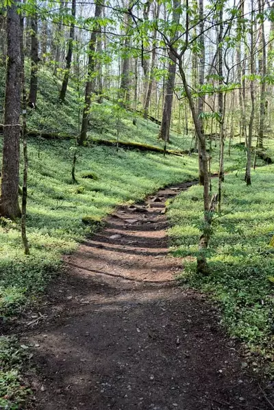 Porters Creek trail