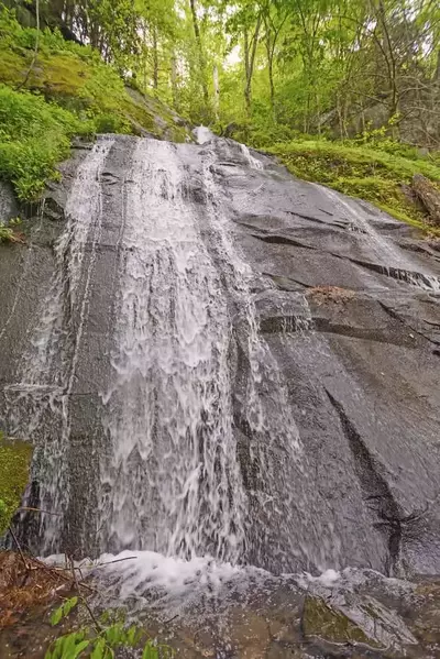 fern branch falls