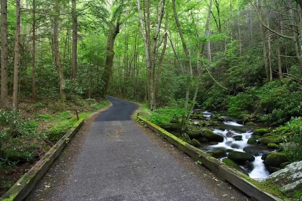 Roaring fork Motor Nature Trail