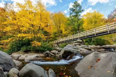 bridge on the chimney tops trail