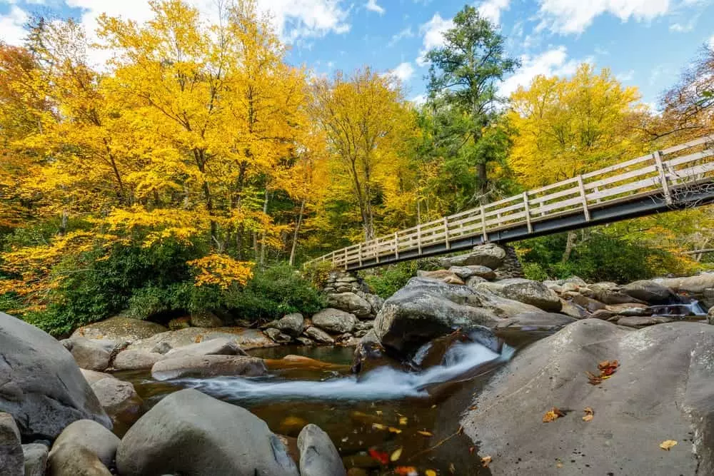 bridge on the chimney tops trail