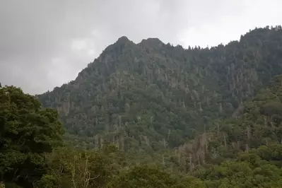 View of the smoky mountains